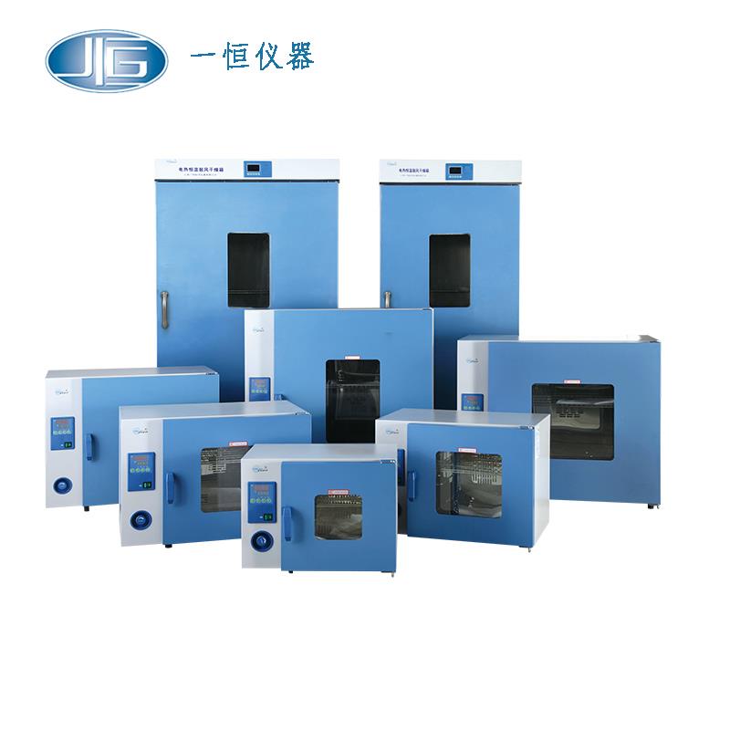 上海一恒電熱鼓風干燥箱DHG-9240A